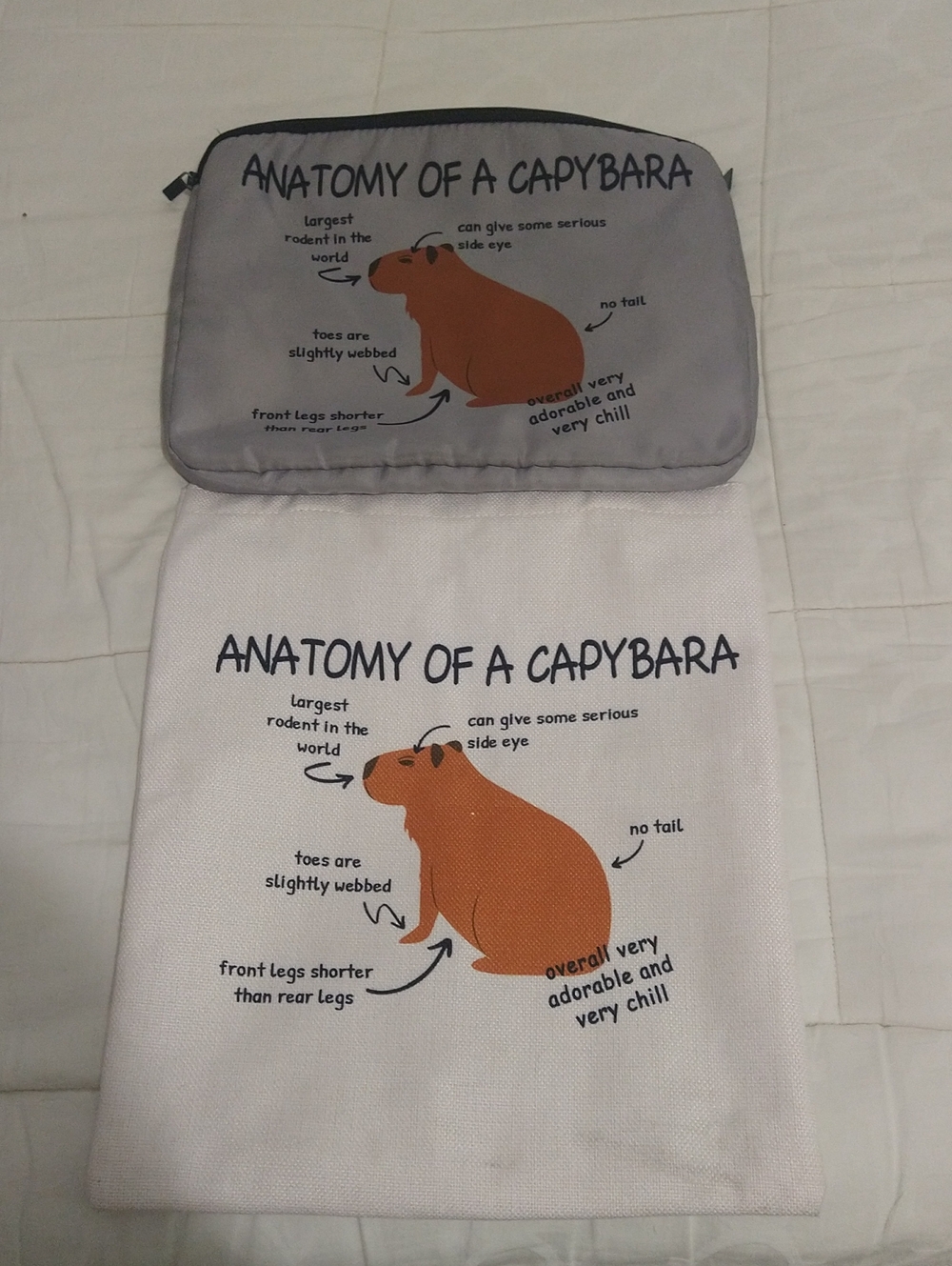 Anatomy of a Capybara LaptopPouch & Tote Set - Gray & White with Orange Capybara